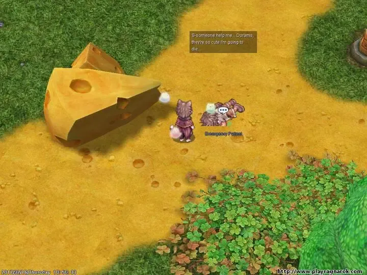 Скриншот 9 к игре Ragnarok Online