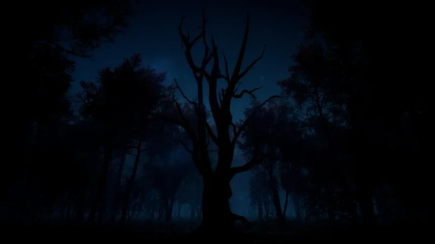 Скриншот 8 к игре Slender: The Arrival