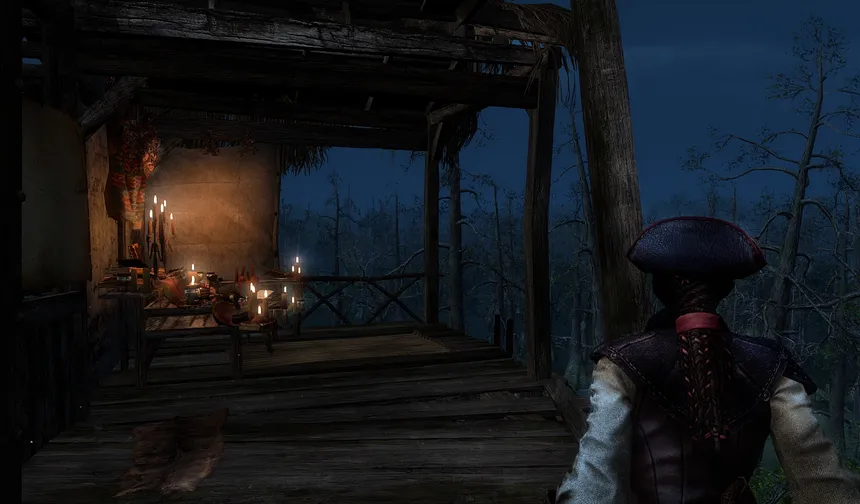Скриншот 3 к игре Assassin’s Creed Liberation HD