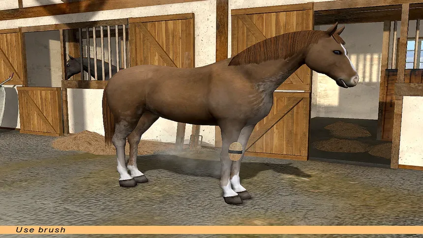 Скриншот 7 к игре Riding Star - Horse Championship!