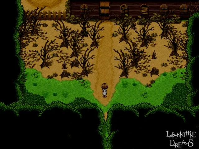 Скриншот 1 к игре Labyrinthine Dreams