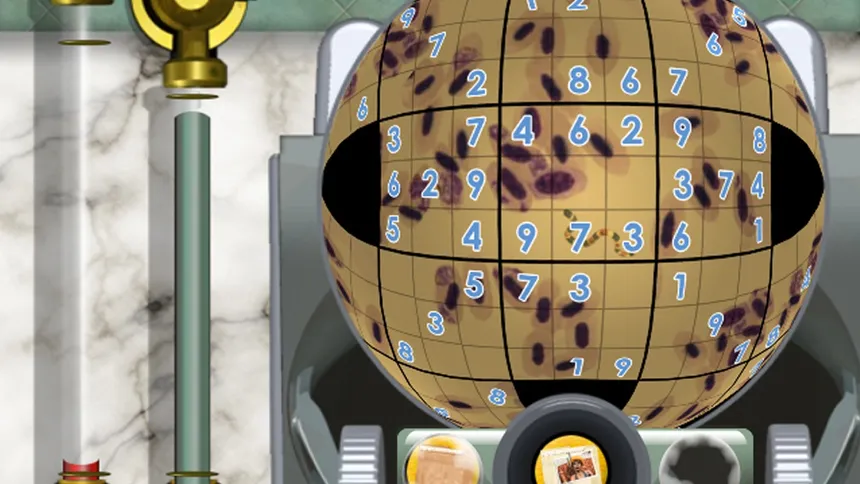 Скриншот 3 к игре Sudokuball Detective