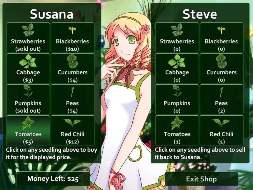 Скриншот 10 к игре Flower Shop: Summer In Fairbrook