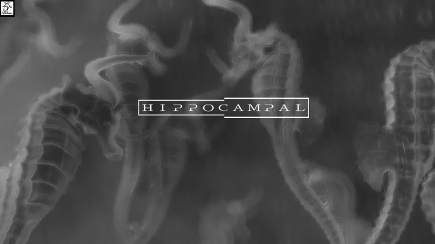 Скриншот 5 к игре Hippocampal: The White Sofa