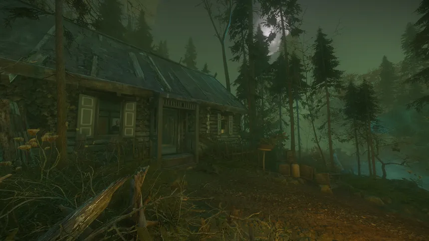 Скриншот 1 к игре The Cursed Forest