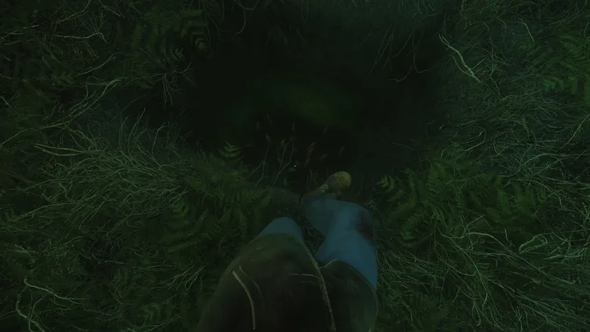 Скриншот 6 к игре The Cursed Forest
