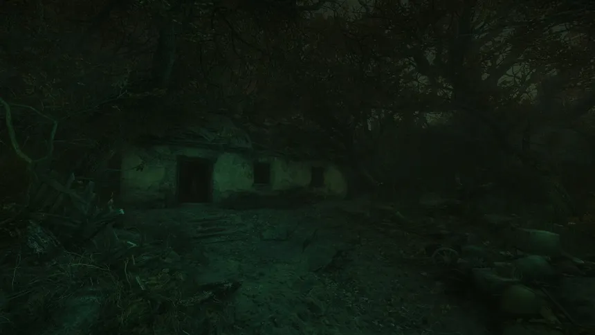 Скриншот 8 к игре The Cursed Forest