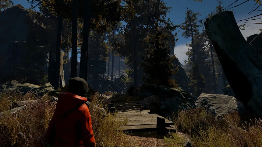 Скриншот 3 к игре Through the Woods