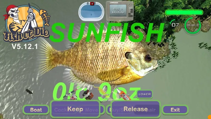 Скриншот 3 к игре Fish or Die