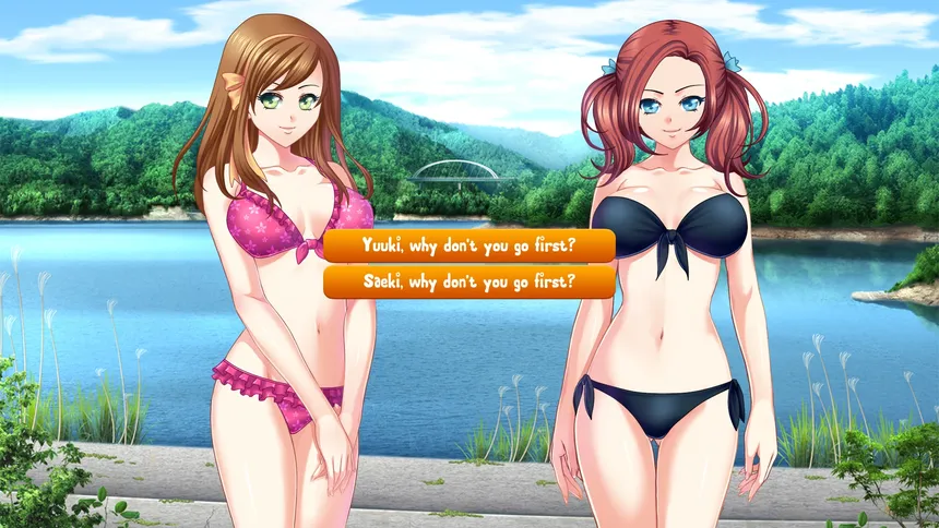 Скриншот 8 к игре Summer Fling