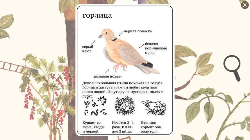 Скриншот 4 к игре Мышкина Энциклопедия