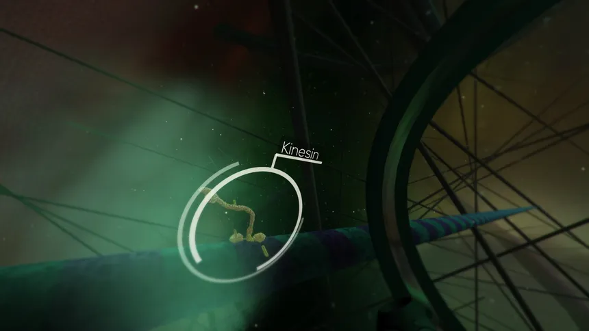 Скриншот 5 к игре The Body VR: Journey Inside a Cell