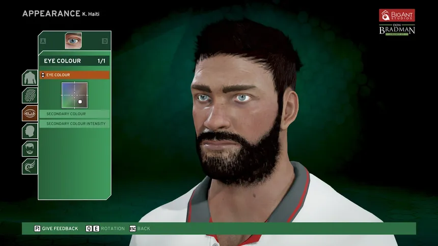 Скриншот 7 к игре Don Bradman Cricket 17 Demo