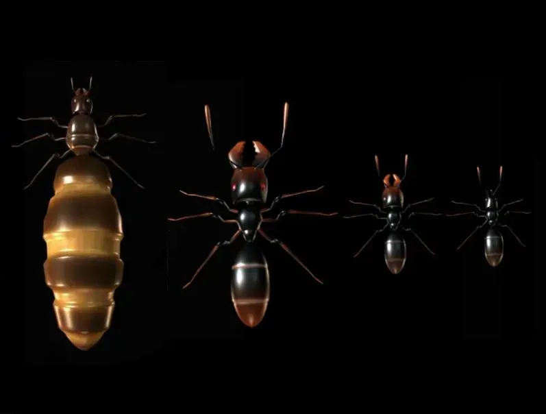 Скриншот 4 к игре Ant Queen