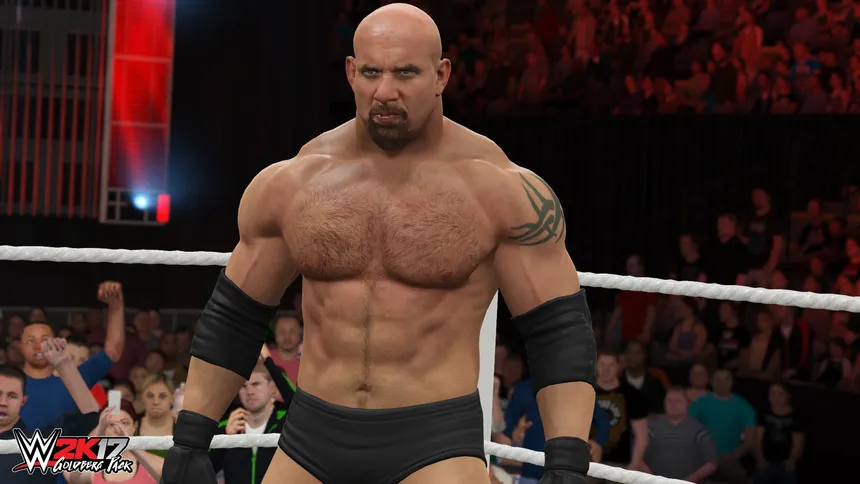 Скриншот 6 к игре WWE 2K17