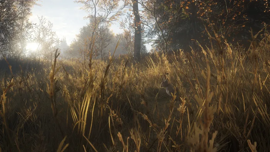 Скриншот 7 к игре theHunter: Call of the Wild