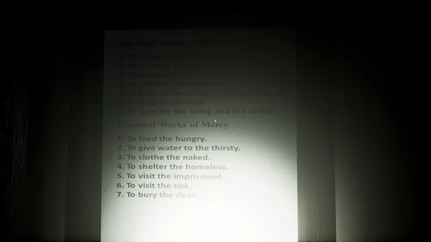 Скриншот 7 к игре The Works of Mercy