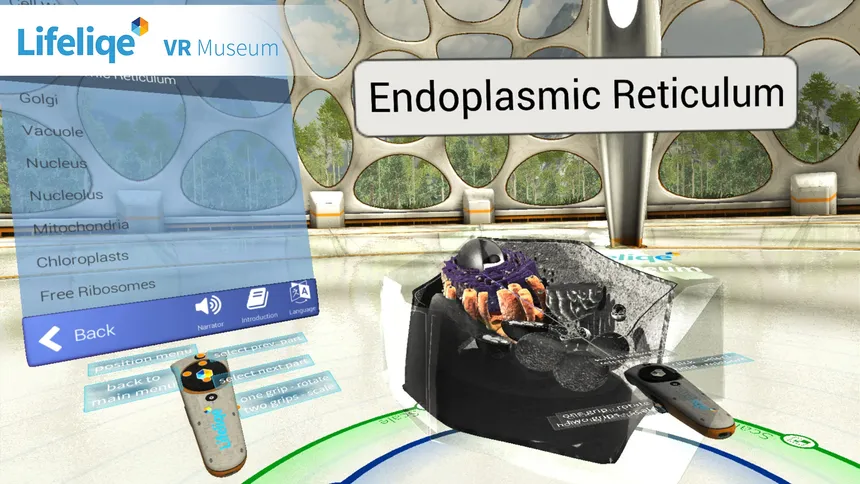 Скриншот 4 к игре Lifeliqe VR Museum