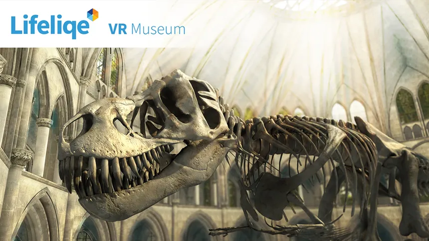 Скриншот 7 к игре Lifeliqe VR Museum