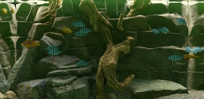 Скриншот 3 к игре Biotope