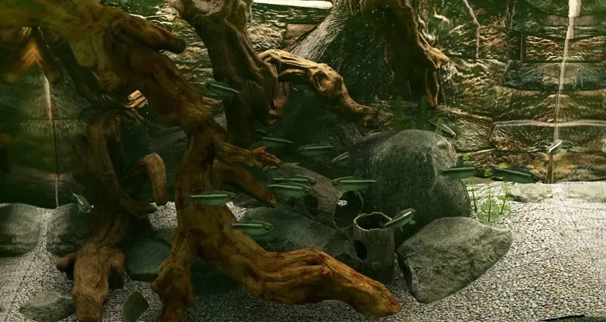 Скриншот 4 к игре Biotope