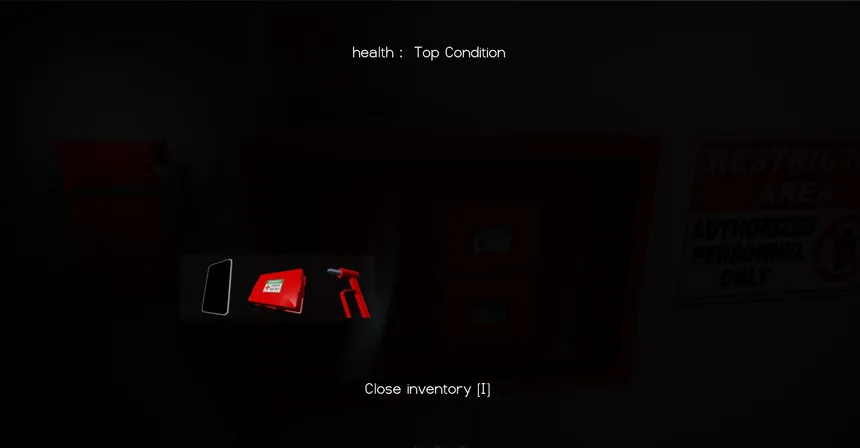 Скриншот 5 к игре Locked Fears