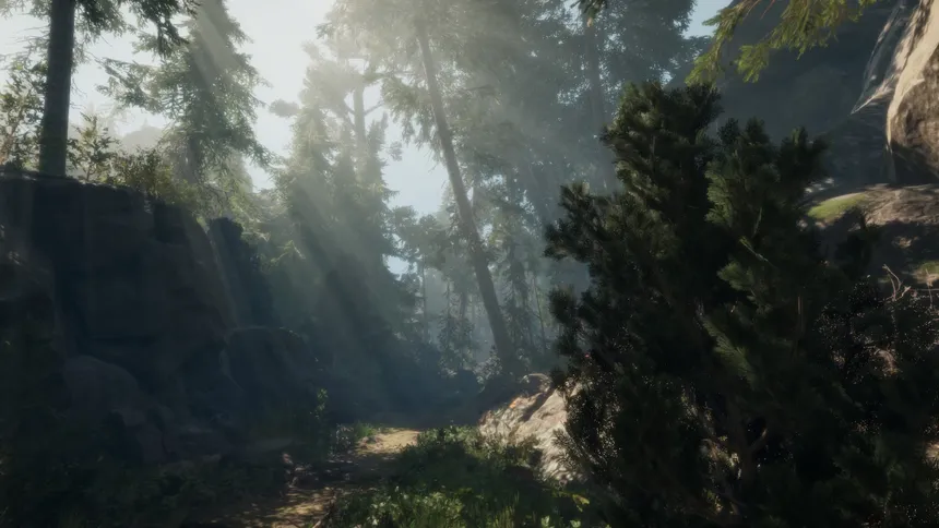 Скриншот 1 к игре A Walk in the Woods
