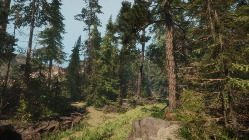 Скриншот 3 к игре A Walk in the Woods