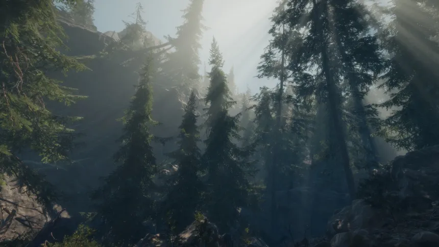 Скриншот 5 к игре A Walk in the Woods
