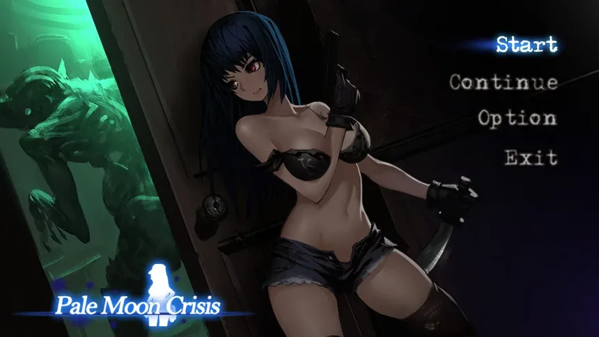 Скриншот 1 к игре Pale Moon Crisis