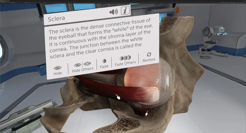 Скриншот 1 к игре The Physiology of the Eye