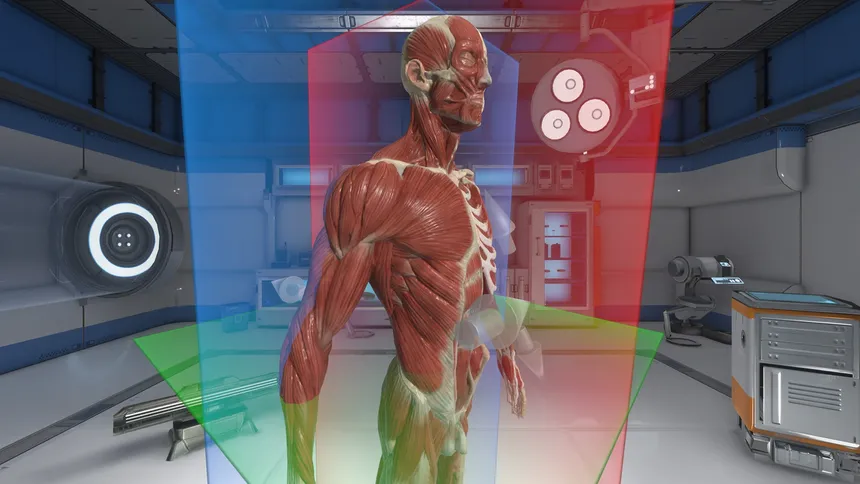 Скриншот 4 к игре The Physiology of the Eye