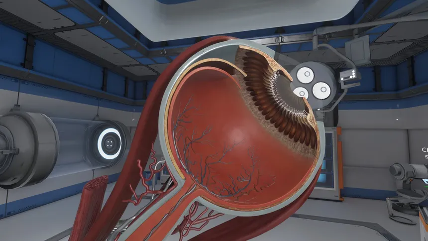 Скриншот 6 к игре The Physiology of the Eye