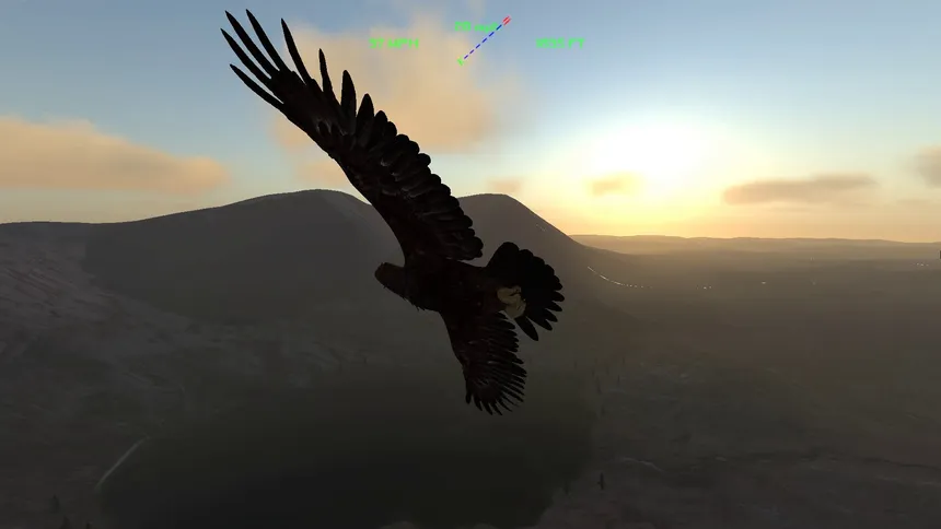 Скриншот 3 к игре Aquila Bird Flight Simulator