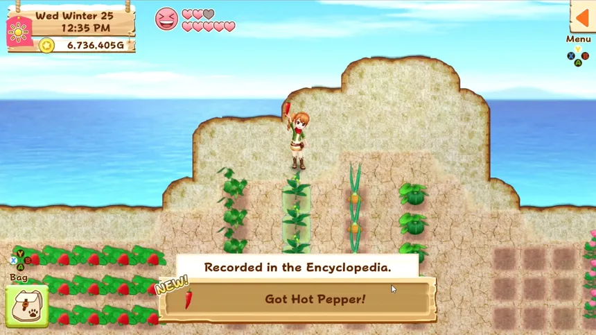 Скриншот 2 к игре Harvest Moon: Light of Hope Special Edition