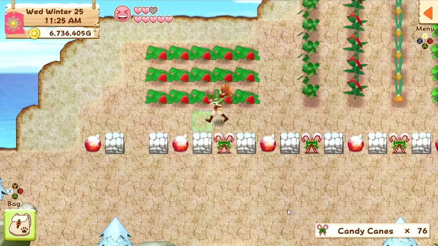 Скриншот 5 к игре Harvest Moon: Light of Hope Special Edition