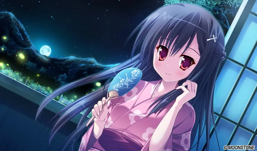 Скриншот 2 к игре Princess Evangile W Happiness - Steam Edition