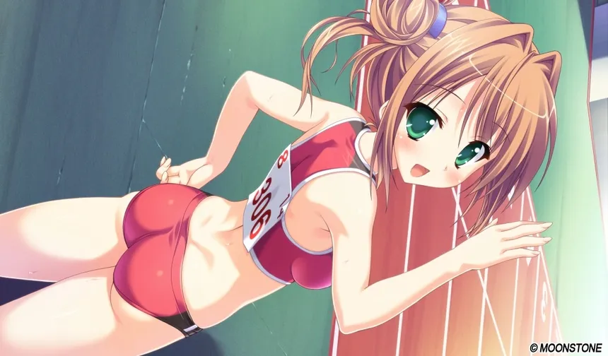 Скриншот 3 к игре Princess Evangile W Happiness - Steam Edition