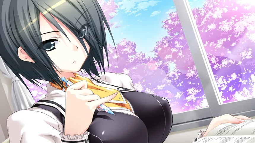 Скриншот 5 к игре Sakura Sakura