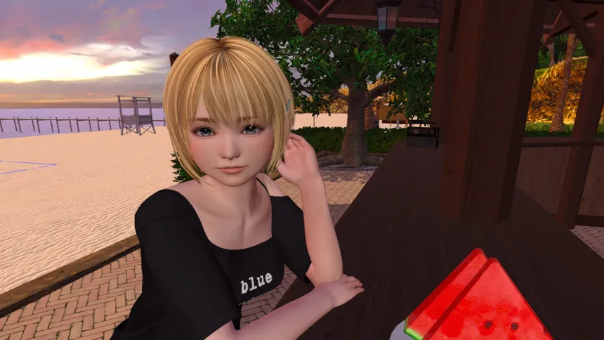 Скриншот 5 к игре SUMMER VACATION