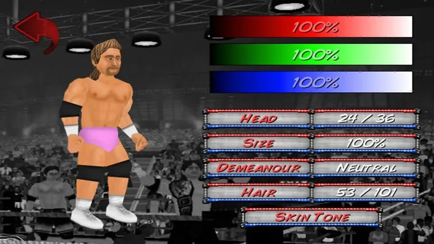 Скриншот 2 к игре Wrestling Revolution 2D