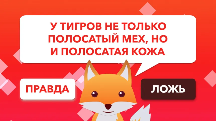 Скриншот 1 к игре True or False Universe