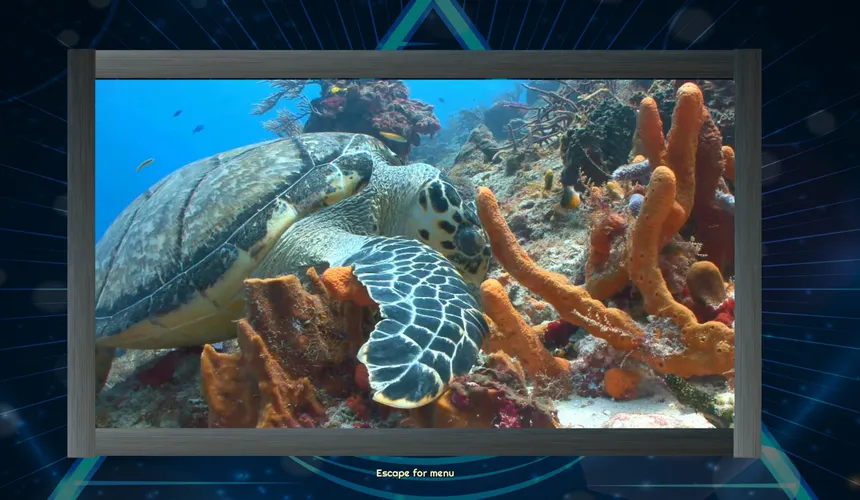 Скриншот 5 к игре Trials of the Illuminati: Animated Sea Creatures Jigsaws