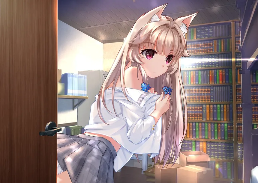 Скриншот 4 к игре Fox Hime