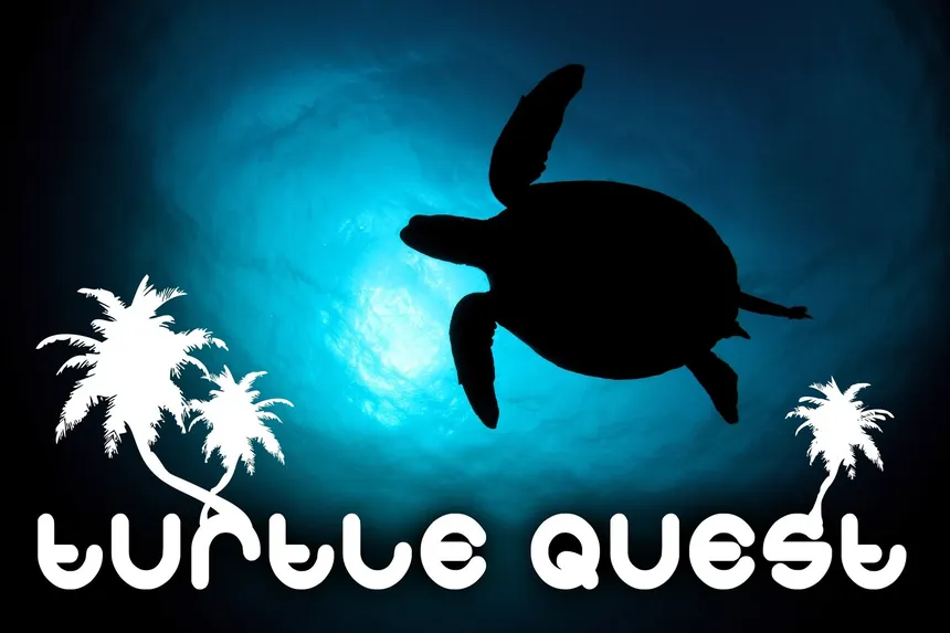 Скриншот 1 к игре Turtle Quest