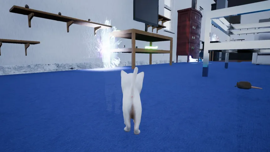 Скриншот 1 к игре Kitten Madness