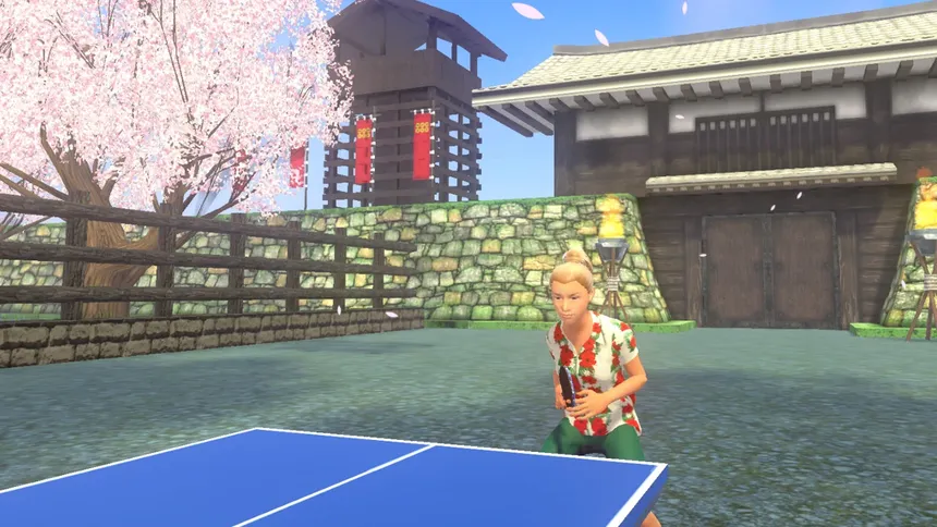 Скриншот 5 к игре VR Ping Pong Paradise