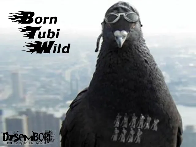 Скриншот 4 к игре Born Tubi Wild
