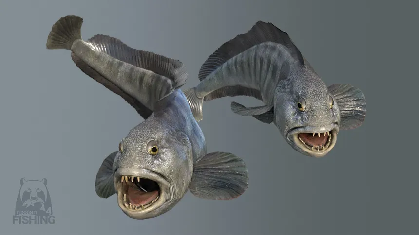 Скриншот 5 к игре Russian Fishing 4