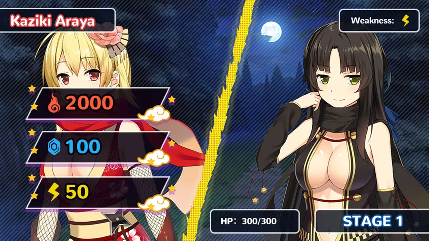Скриншот 5 к игре Moe! Ninja Girls